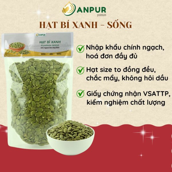 HẠT BÍ XANH SỐNG - NHẬP ẤN ĐỘ