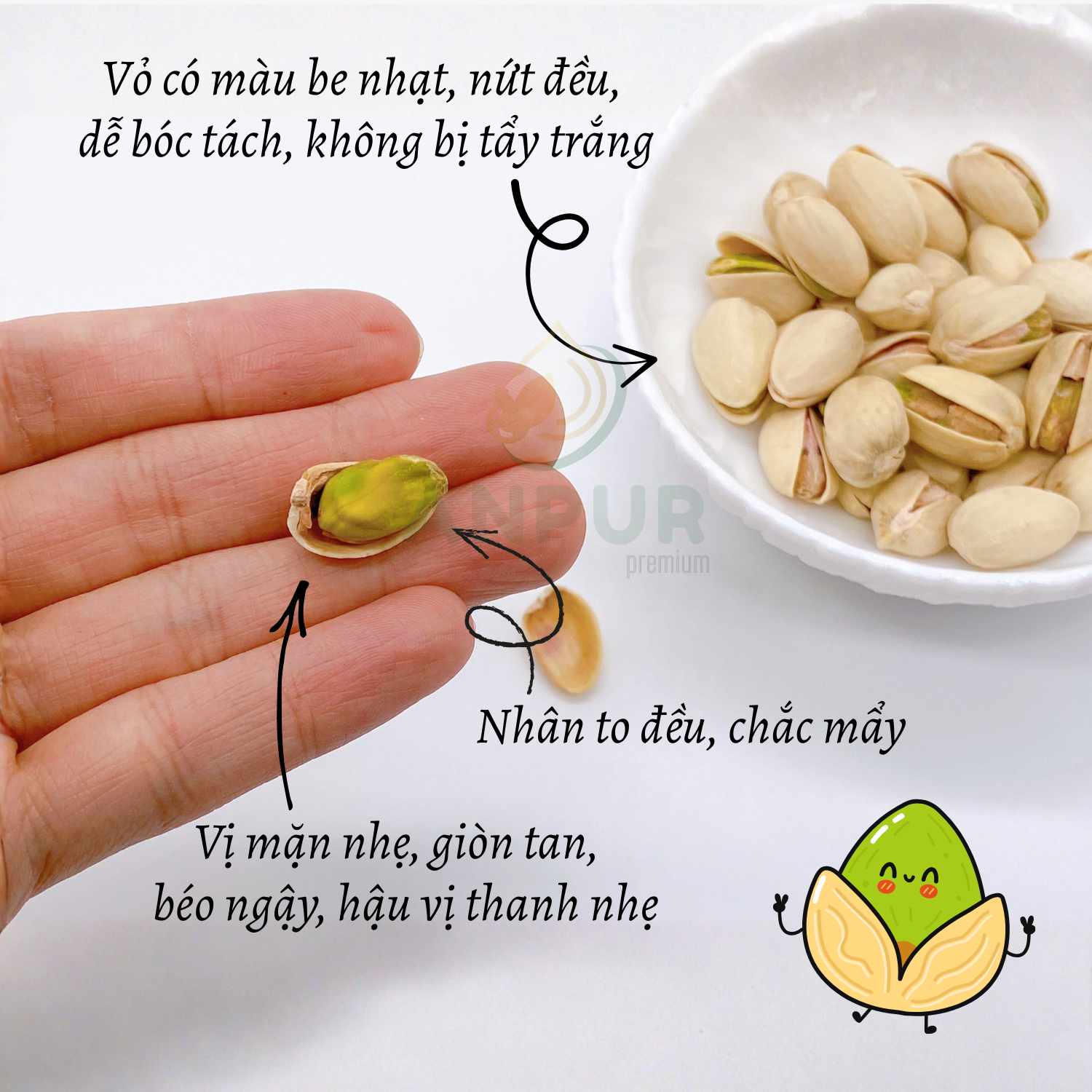 HẠT DẺ CƯỜI RANG MUỐI