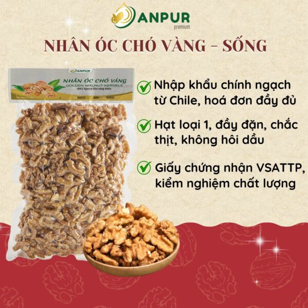 NHÂN ÓC CHÓ VÀNG - NHẬP KHẨU MỸ